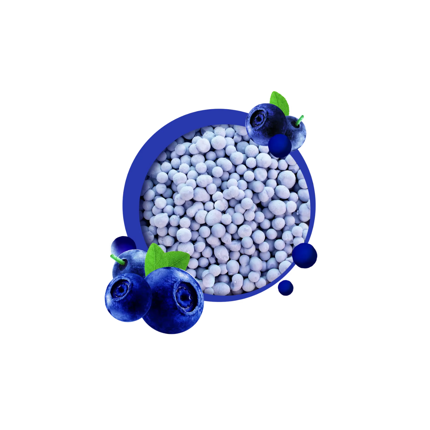 Blueberry Mini Melts